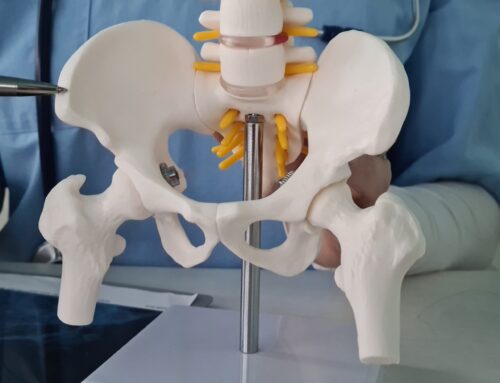 Hip replacement in Almeria: medical assessment and treatment options for the hip